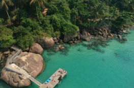 aerial view of green body of water