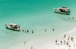 people on beach during daytime