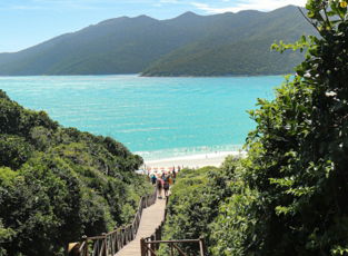 a wooden walkway leading to a beach with people walking on it