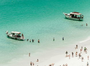 people on beach during daytime